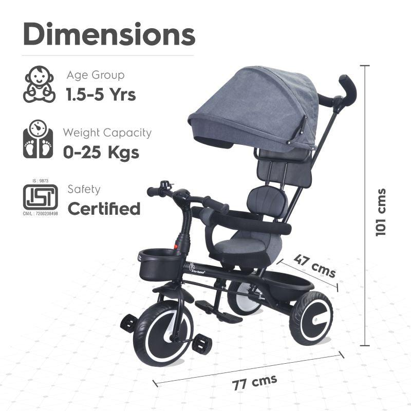 R For Rabbit Tiny Toes T30 Ace Tricycle For Kids With Adjustable Parental Control Grey