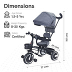R For Rabbit Tiny Toes T30 Ace Tricycle For Kids With Adjustable Parental Control Grey