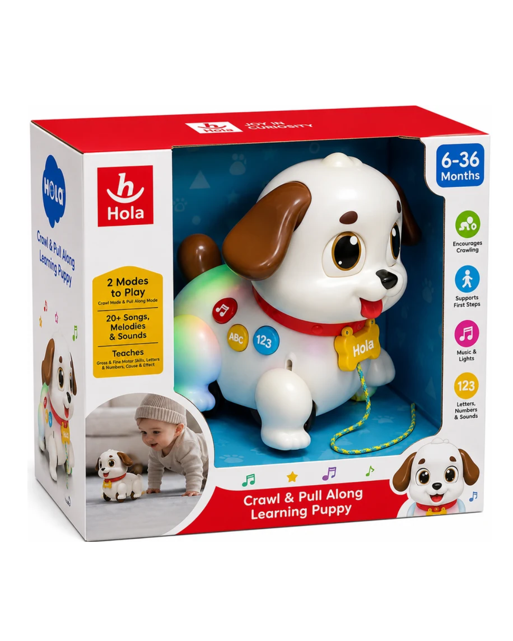 Hola Crawl & Pull Along Learning Puppy – Musical Interactive Walking Dog Toy with Lights & Sounds
