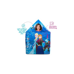 Itoys Led Tent House Frozen