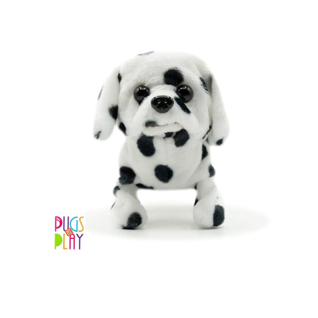 Pugs at Play Walking Pet Bella Cat