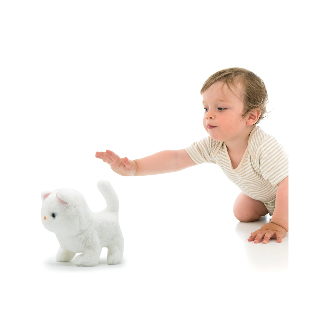 Pugs Play Casper Walking Cat