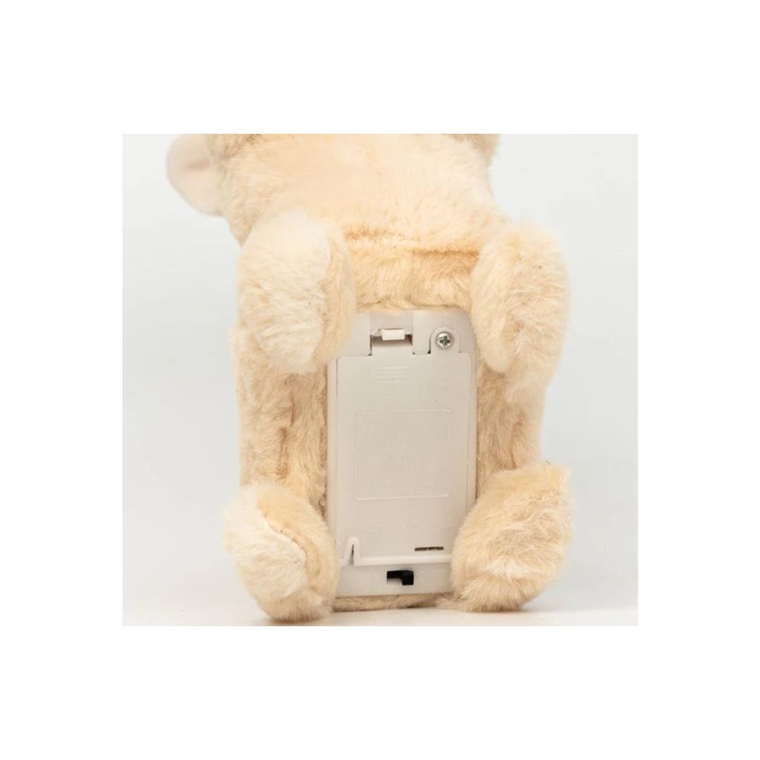 Pugs at Play Sandy The Walking Lama