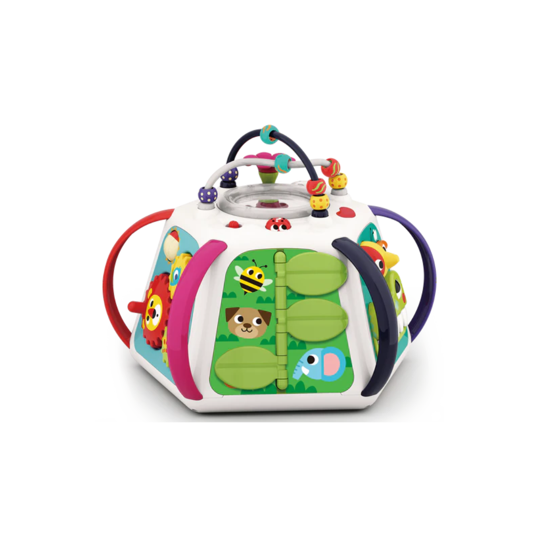Hola Forest Activity Pyramid  Cube