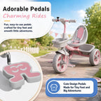StarAndDaisy Kids Tricycle with Dual Storage Baskets & Safety Belt – 2–5 Years, Pink