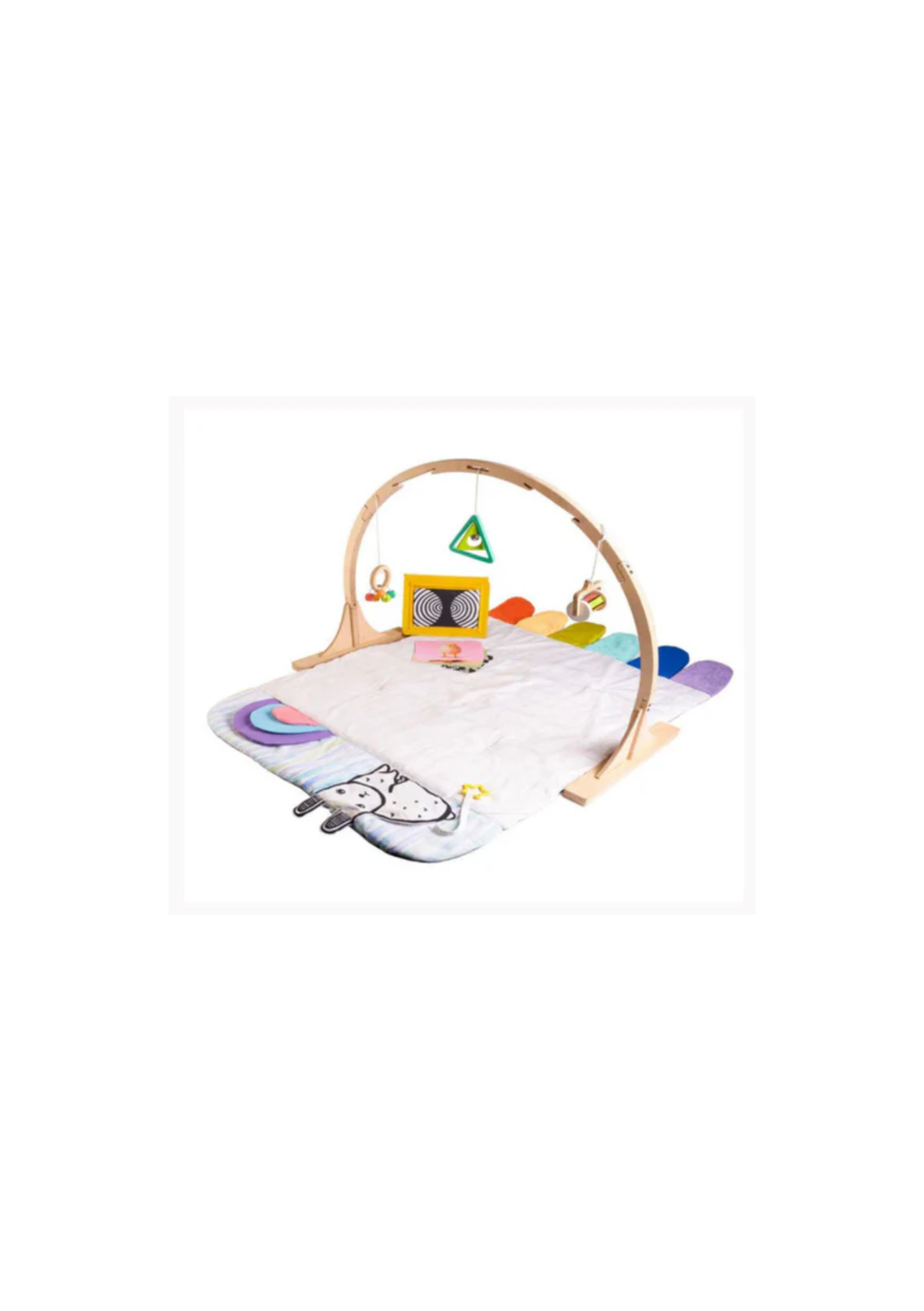 Curious Cub Baby Play Gym - Baby Play Gym for 0-12 Months View 2